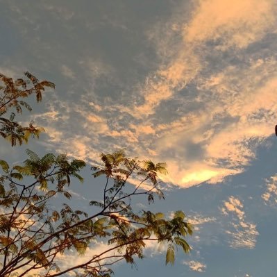 MentalNotepad's profile picture. 