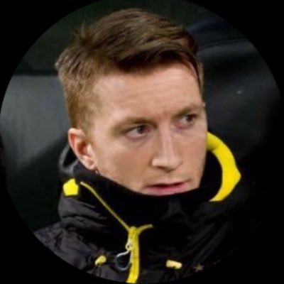 Dortmund fan @BVB || @Woodyinho