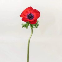 Abu Location أبو لوكيشن (@abulocation) 's Twitter Profile Photo Abu Location أبو لوكيشن (@abulocation) 's Twitter Profile Photo