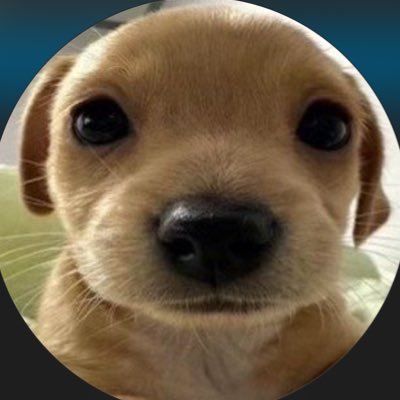 dinkeyさんのプロフィール画像