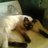 Paola Andrea Cortes (@pachacortes) Twitter profile photo