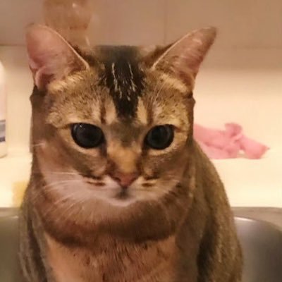 FRkUD0JV8cwvxhS's profile picture. 