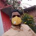 Sunil kumar das (@sunil_das_99) Twitter profile photo Sunil kumar das (@sunil_das_99) Twitter profile photo