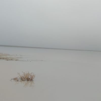 AJani1285918's profile picture. 