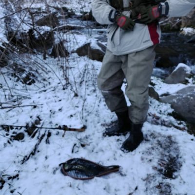 19歳🚹サケ科、トラウト大好きマン。渓流中心に色々な釣りをやってます☺️ 語彙力皆無なので返信できないことあります（リプはめっちゃありがたいです）