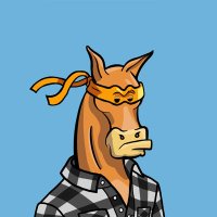 603NFT ๐ (@603nft) 's Twitter Profile