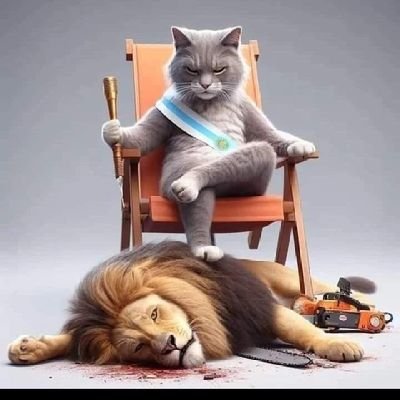 martinagra76's profile picture. 