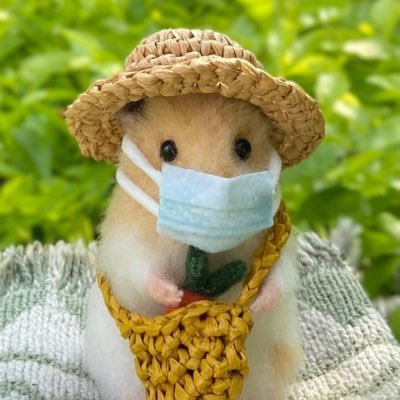 dao_luo54916's profile picture. 
