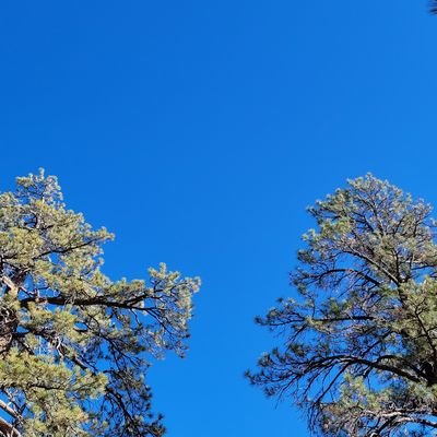 Matthew17400461's profile picture. 