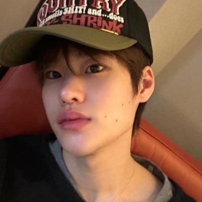 nikisohee's profile picture. ( ·•︡_•︠) 또리얌
