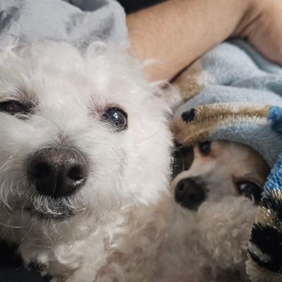 SculptorReviews's profile picture. Welcome to TCG Accessory reviews, from the common to the niche! 

Part of @convictionmtg to keep reviews all in one place!

Reviews by @HispanicattheD5