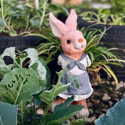 randall0303's profile picture. 用了很长时间的机场，很稳定 https://t.co/yKouU2UIBZ