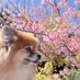 うる (@nanasanuenue) Twitter profile photo うる (@nanasanuenue) Twitter profile photo