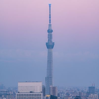 sinzo1234's profile picture. 