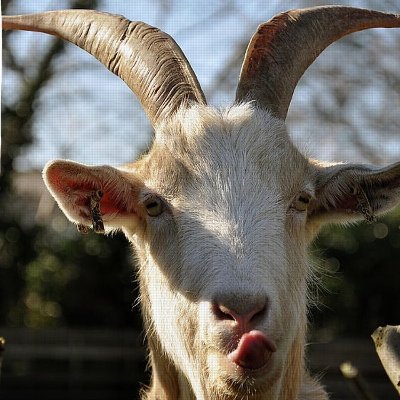 EvL_1's profile picture. Just an ASSHOLE on X 😈