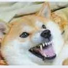 Cos251639922873's profile picture. 