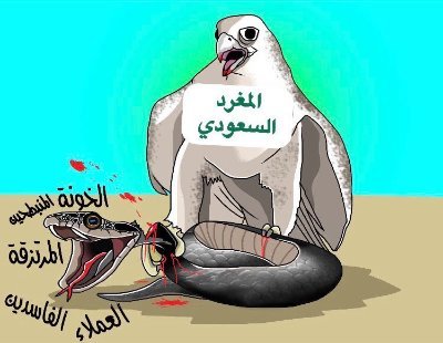 عاشق للنمور الاتحادية