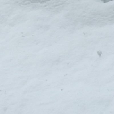 mmmm00002525's profile picture. 