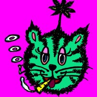 🐯TIGER LILY🐯 (@yuki1363497314) 's Twitter Profile Photo