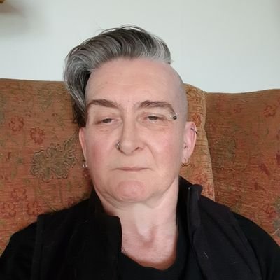 I am a trans nonbinary deaf disabled person offering Counselling and Parenting Support demedicalising & nonpathologising emotional distress & mental wellbeing