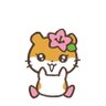 kira_jinchan