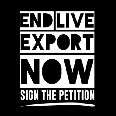 Kiwis don’t support cruelty! Join the movement. Protect the ban on live animal exports by sea 🐮🚢🚫 https://t.co/tOmVK9pVfk