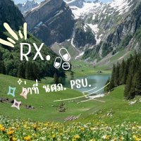std phir. 💊 (@1fourforu) 's Twitter Profile