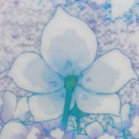 けい (@rajodfk92m38571) Twitter profile photo