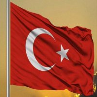 Ali Dagoglu (@alidagoglu54463) 's Twitter Profile