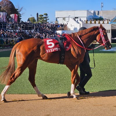 ウマ娘＆競馬用の垢。
F馬中心に応援しています。よろしくお願いします。