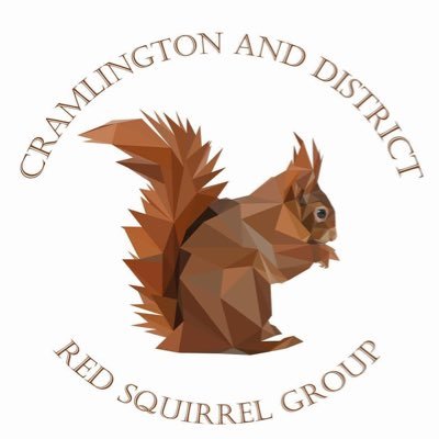 We are a local voluntary conservation group, protecting & promoting our native red squirrel. Conservation Award Winners #CADRSG