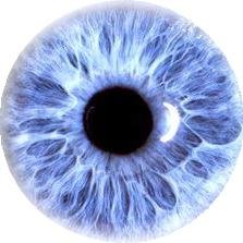 AndyRuff's profile picture. Yes, it is me.