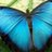 LorenaSanmillan's profile image