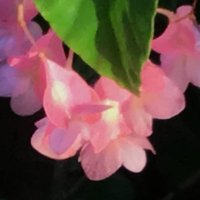 fay (@feeed23) 's Twitter Profile
