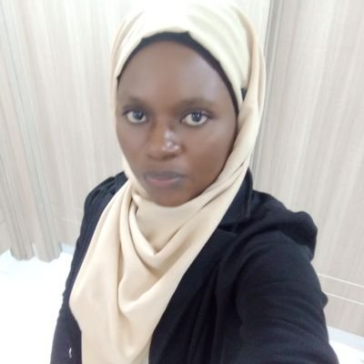 habibat_mesh's profile picture. Data Analytics/Educator