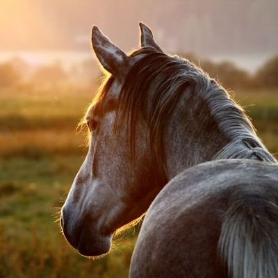 毎週中央競馬予想してます🤔✏️
これから予想を載せて行きたいと思います。
あくまでも参考に。競馬ファンの方
宜しくお願いします。スロット ジャグラー全般好きです。
今年こそ横浜ベイスターズ優勝⚾