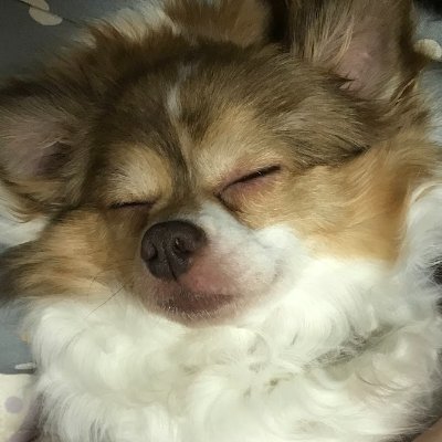 poppo_Mil's profile picture. 同人音楽好きー