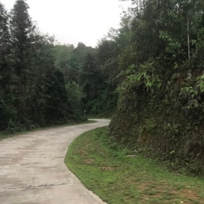 jiabin43624195's profile picture. 