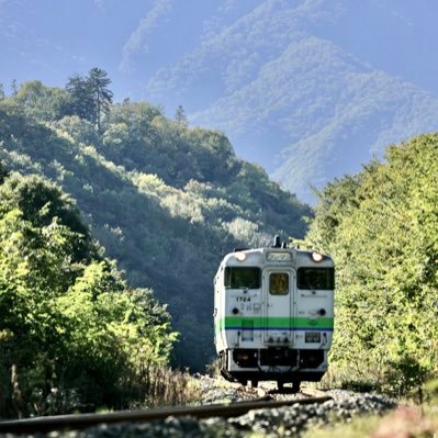 mavic2inspire's profile picture. Train Mania https://t.co/sw4NWa1T5L.//Mr.Takagi.