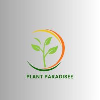 plant paradisee(@plantparadisee) 's Twitter Profile Photo