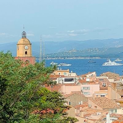 Steph40140's profile picture. Investisseur marchés US