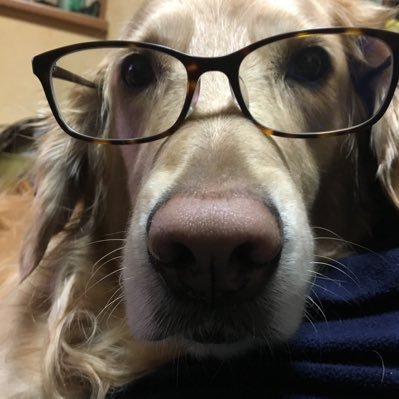 qVBoGJgvGr52763's profile picture. 