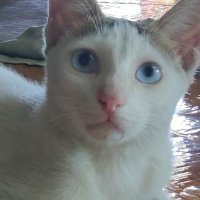 Mo On (@moon70604706) 's Twitter Profile
