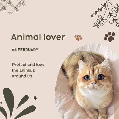 Dgitel creator

If you are an animal lover you are politely welcome to

animal lovers

my account

communication: fdavilhunter@gmail.com

#animal