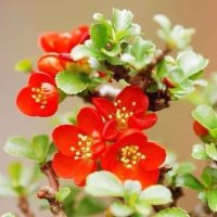 Mouse (@mouse5453) 's Twitter Profile