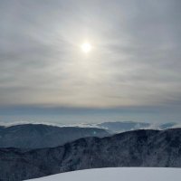 ヨシ (@pyodobedo) Twitter profile photo