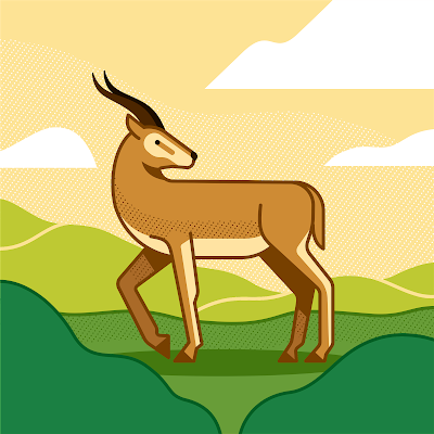 UsmanShafi58331's profile picture. 