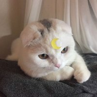 B (@1kbomi) 's Twitter Profile Photo