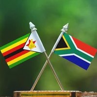 No to Capexit! 🇿🇦🇿🇼(@remainza) 's Twitter Profileg