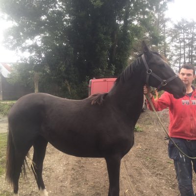 ger_moynihan's profile picture. 